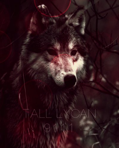 TALL LYCAN